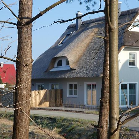 Kleine Seenixe Zingst Exteriör bild